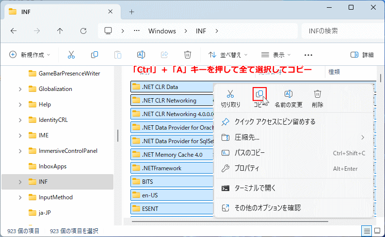 Windows11 ドライバと設定ファイルを丸ごとバックアップ