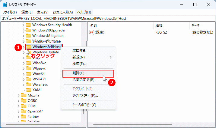 Windows11 レジストリ Microsoft キー内の Insider Preview を停止するため  WindowsSelfHost を削除